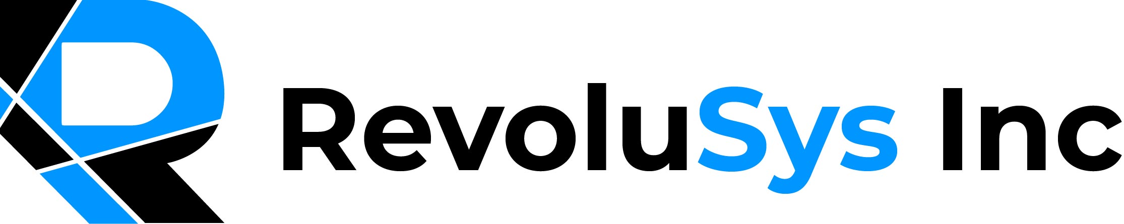 RevoluSys Inc